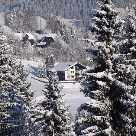 Cozy Apartment In Afritz Am See Near Gerlitzen Ski Area Εξωτερικό φωτογραφία